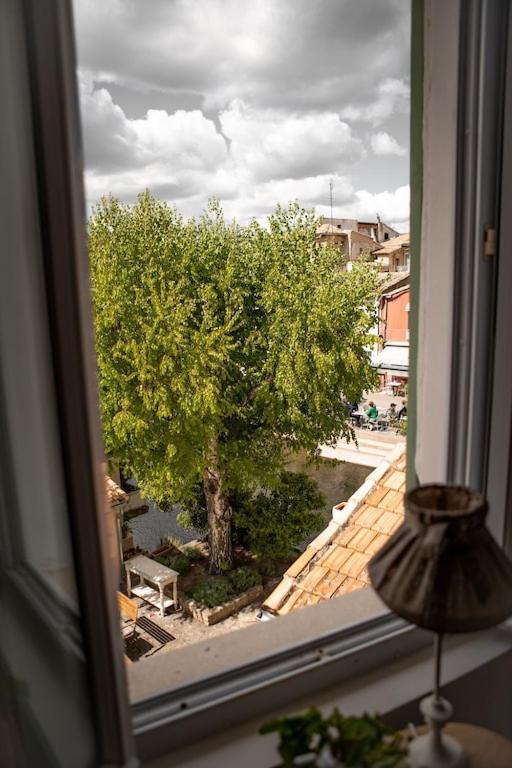 La Maison Du Bassin LʼIsle-sur-la-Sorgue المظهر الخارجي الصورة